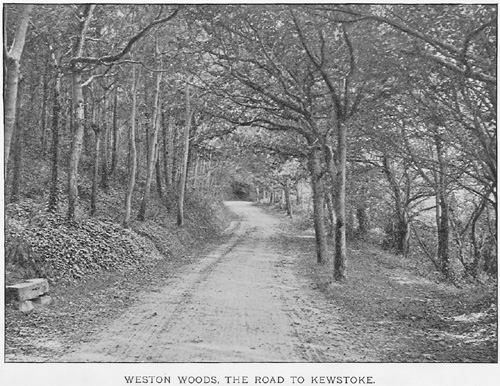 Weston-super-Mare 1890, The Road to Kewstoke